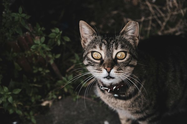 Enhance financial precision using top account reconciliation tools